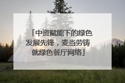 中资赋能下的绿色发展先锋，麦当劳铸就绿色餐厅网络
