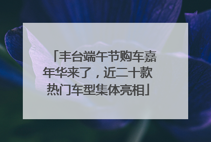 丰台端午节购车嘉年华来了，近二十款热门车型集体亮相