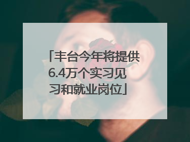 丰台今年将提供6.4万个实习见习和就业岗位