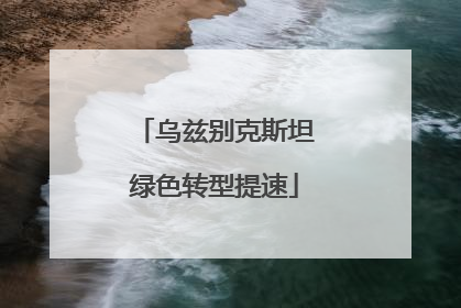 乌兹别克斯坦绿色转型提速