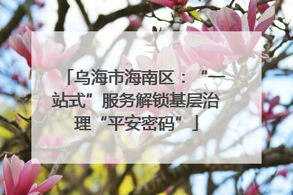 乌海市海南区：“一站式”服务解锁基层治理“平安密码”