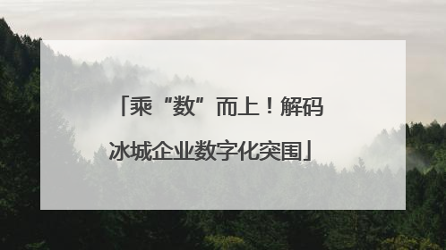 乘“数”而上！解码冰城企业数字化突围