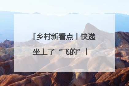 乡村新看点丨快递坐上了“飞的”
