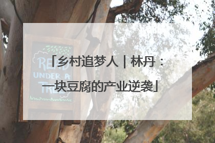 乡村追梦人｜林丹：一块豆腐的产业逆袭