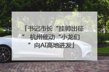 书记市长“挂帅出征” 杭州催动“小龙们”向AI高地进发