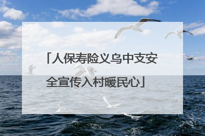 人保寿险义乌中支安全宣传入村暖民心