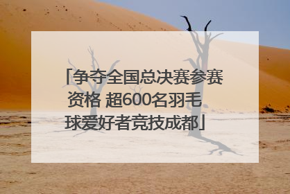 争夺全国总决赛参赛资格 超600名羽毛球爱好者竞技成都
