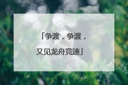 争渡，争渡，又见龙舟竞速