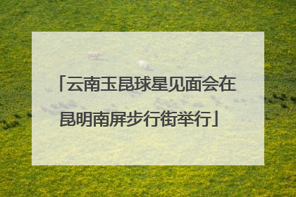 云南玉昆球星见面会在昆明南屏步行街举行