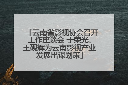 云南省影视协会召开工作座谈会 于荣光、王砚辉为云南影视产业发展出谋划策