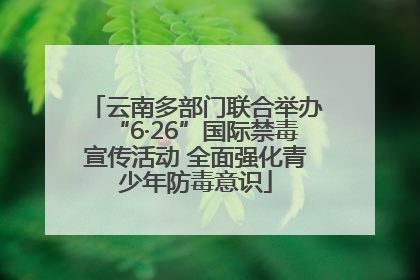 云南多部门联合举办“6·26”国际禁毒宣传活动 全面强化青少年防毒意识