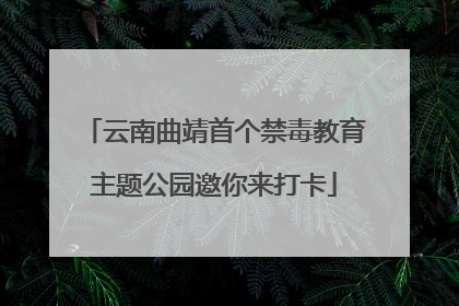 云南曲靖首个禁毒教育主题公园邀你来打卡