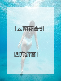 云南花香引四方游客