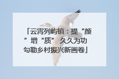 云霄列屿镇：提“颜”增“质” 久久为功勾勒乡村振兴新画卷