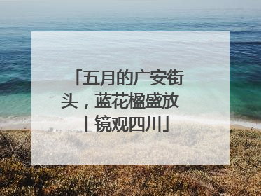五月的广安街头，蓝花楹盛放丨镜观四川