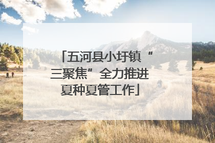 五河县小圩镇“三聚焦”全力推进夏种夏管工作