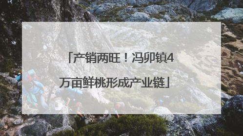 产销两旺！冯卯镇4万亩鲜桃形成产业链
