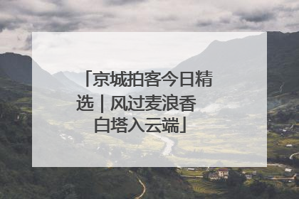 京城拍客今日精选｜风过麦浪香 白塔入云端