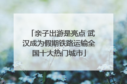 亲子出游是亮点 武汉成为假期铁路运输全国十大热门城市