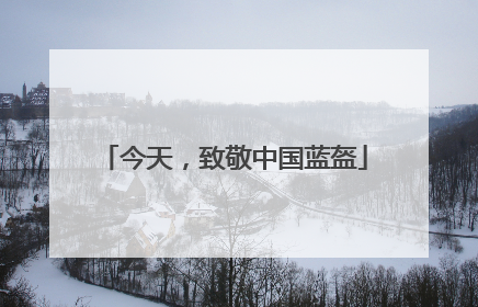 今天，致敬中国蓝盔