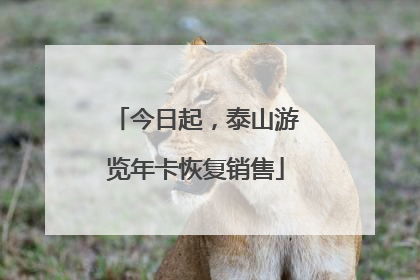 今日起，泰山游览年卡恢复销售