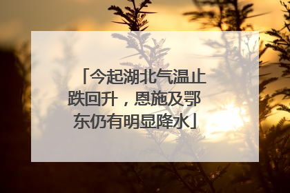 今起湖北气温止跌回升，恩施及鄂东仍有明显降水