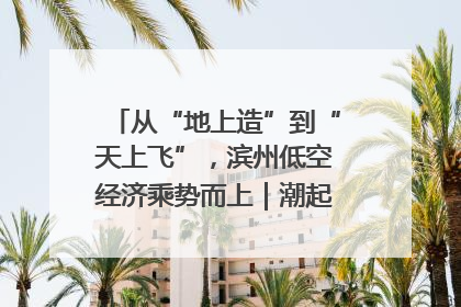 从“地上造”到“天上飞”，滨州低空经济乘势而上｜潮起渤海・网聚黄蓝