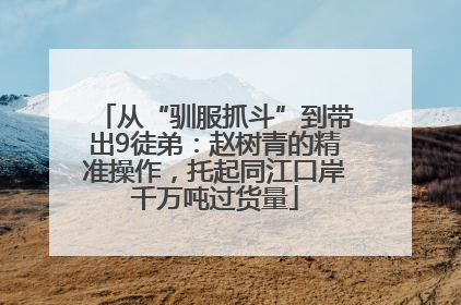 从“驯服抓斗”到带出9徒弟：赵树青的精准操作，托起同江口岸千万吨过货量
