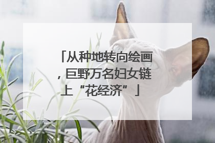 从种地转向绘画，巨野万名妇女链上“花经济”