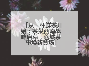 从一杯鲜茶开始：茶巢西南战略启幕，蓉城茶事焕新登场
