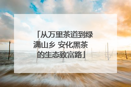 从万里茶道到绿满山乡 安化黑茶的生态致富路