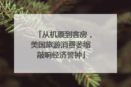从机票到客房，美国旅游消费萎缩敲响经济警钟
