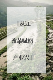 从江：改革赋能产业兴