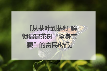 从茶叶到茶籽 解锁福建茶树“全身宝藏”的富民密码
