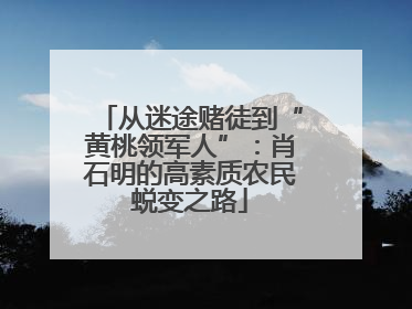 从迷途赌徒到“黄桃领军人”：肖石明的高素质农民蜕变之路
