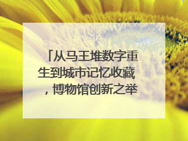 从马王堆数字重生到城市记忆收藏，博物馆创新之举如何守护历史、连接未来？