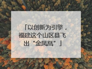以创新为引擎，福建这个山区县飞出“金凤凰”