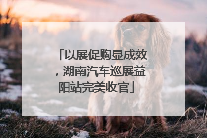 以展促购显成效，湖南汽车巡展益阳站完美收官