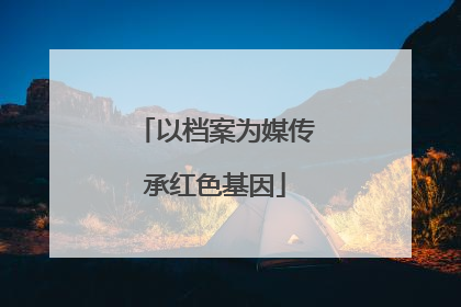 以档案为媒传承红色基因