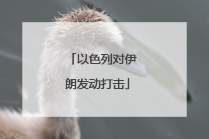 以色列对伊朗发动打击