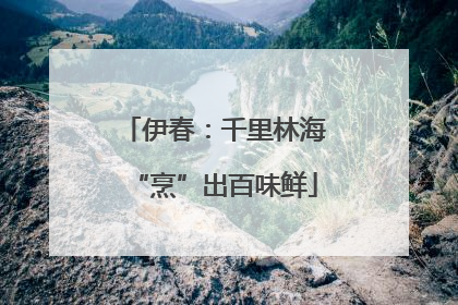 伊春：千里林海“烹”出百味鲜