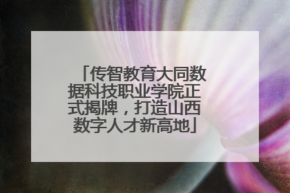 传智教育大同数据科技职业学院正式揭牌，打造山西数字人才新高地