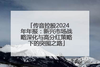 传音控股2024年年报：新兴市场战略深化与高分红策略下的突围之路