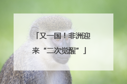 又一国！非洲迎来“二次觉醒”