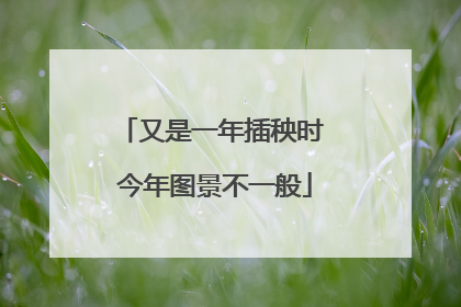 又是一年插秧时 今年图景不一般