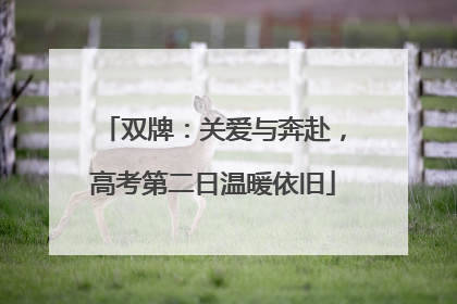 双牌：关爱与奔赴，高考第二日温暖依旧