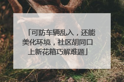 可防车辆乱入，还能美化环境，社区胡同口上新花箱巧解难题