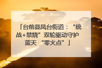 台前县凤台街道：“统战+禁烧”双轮驱动守护蓝天 “零火点”