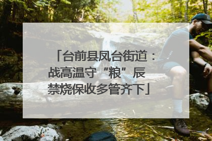 台前县凤台街道：战高温守“粮”辰 禁烧保收多管齐下