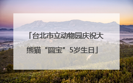 台北市立动物园庆祝大熊猫“圆宝”5岁生日